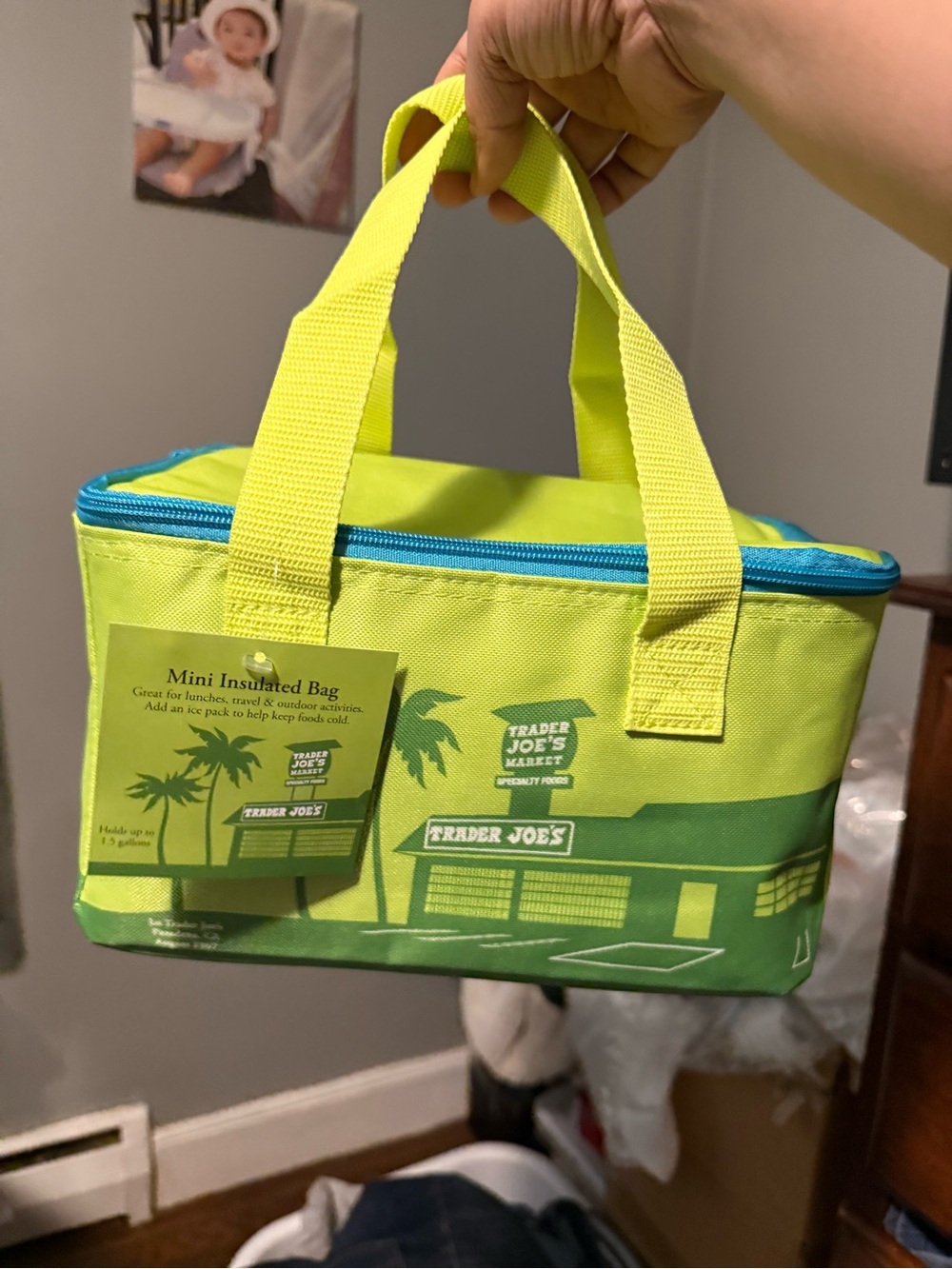 Trader Joe's MINI Insulated Tote Lunch Bag IN Summer Green 2026 NWT
